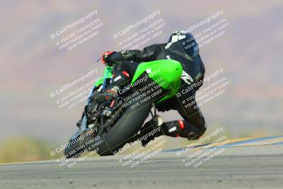 media/Jan-13-2024-SoCal Trackdays (Sat) [[9c032fe5aa]]/Turn 9 Backside (110pm)/